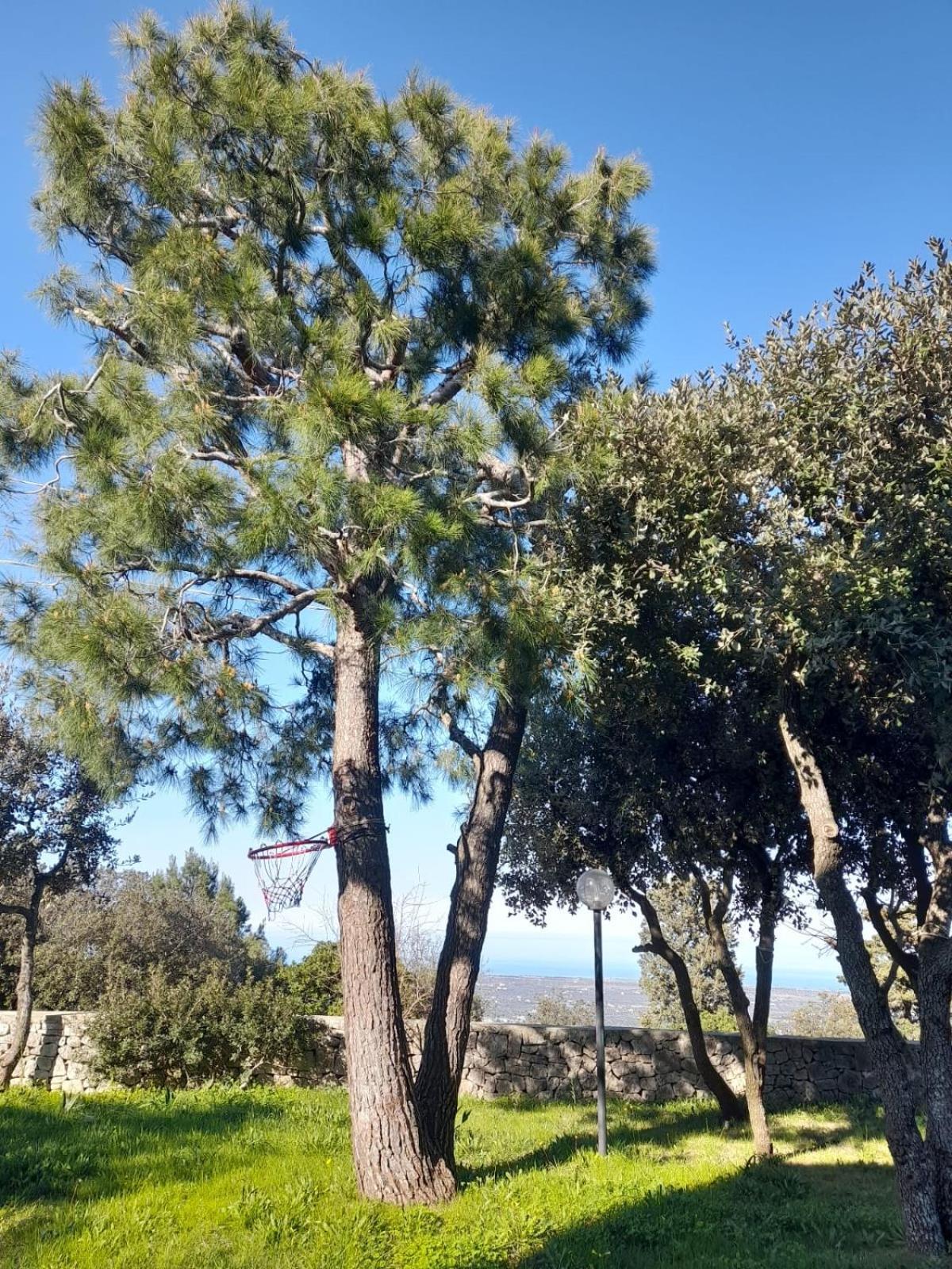 Appartamento Casa Gio' Gio' Selva Di Fasano Esterno foto