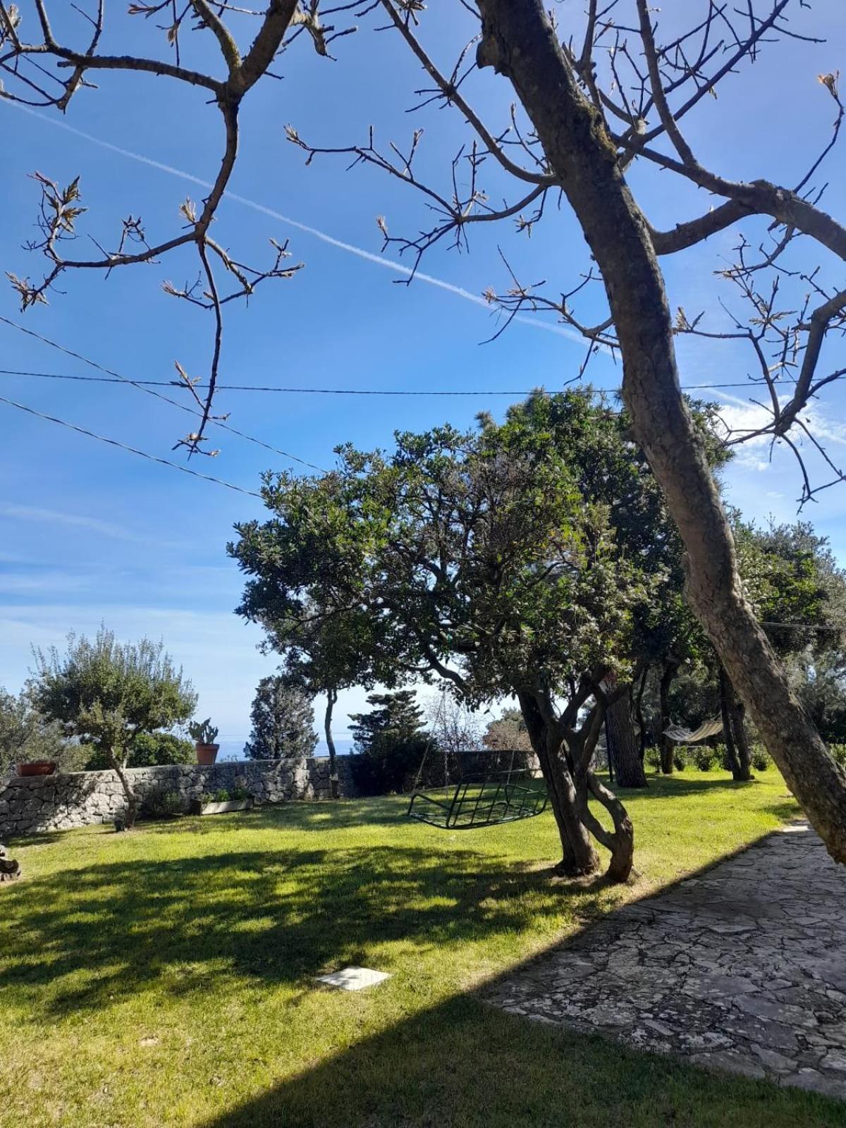 Appartamento Casa Gio' Gio' Selva Di Fasano Esterno foto